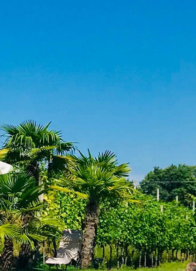 Residenza Eden Guest House Cola  Luaran gambar
